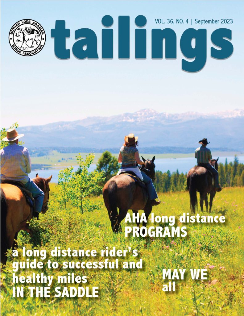 Cover of the September issue of MLAHA Tailings